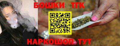 молекула духа Гатчина