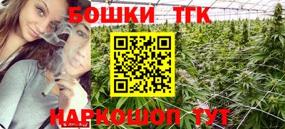 молекула духа Гатчина